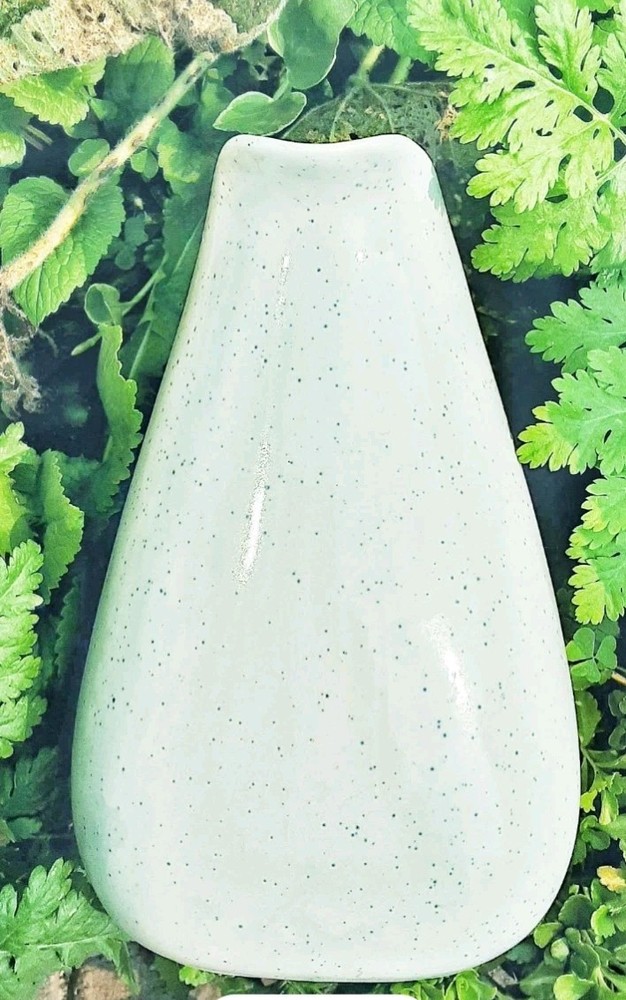 Salem Atomic Age Constellation Water Pitcher with Ice Lip