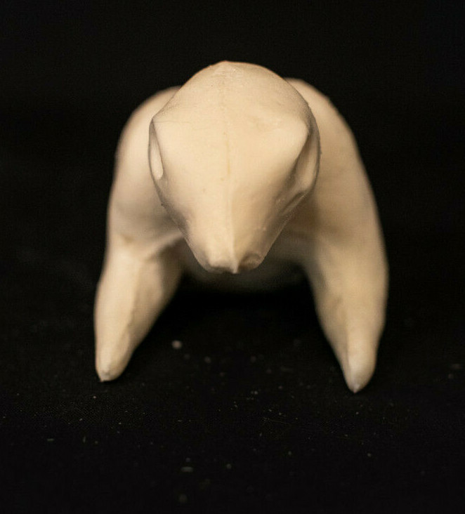 Taxidermy Form Half Grey Squirrel Medium Shoulder