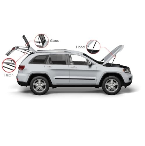 21.89 Inch 2Pcs Liftgate Trunk Struts Lift Supports Compatible with Gmc Acadia