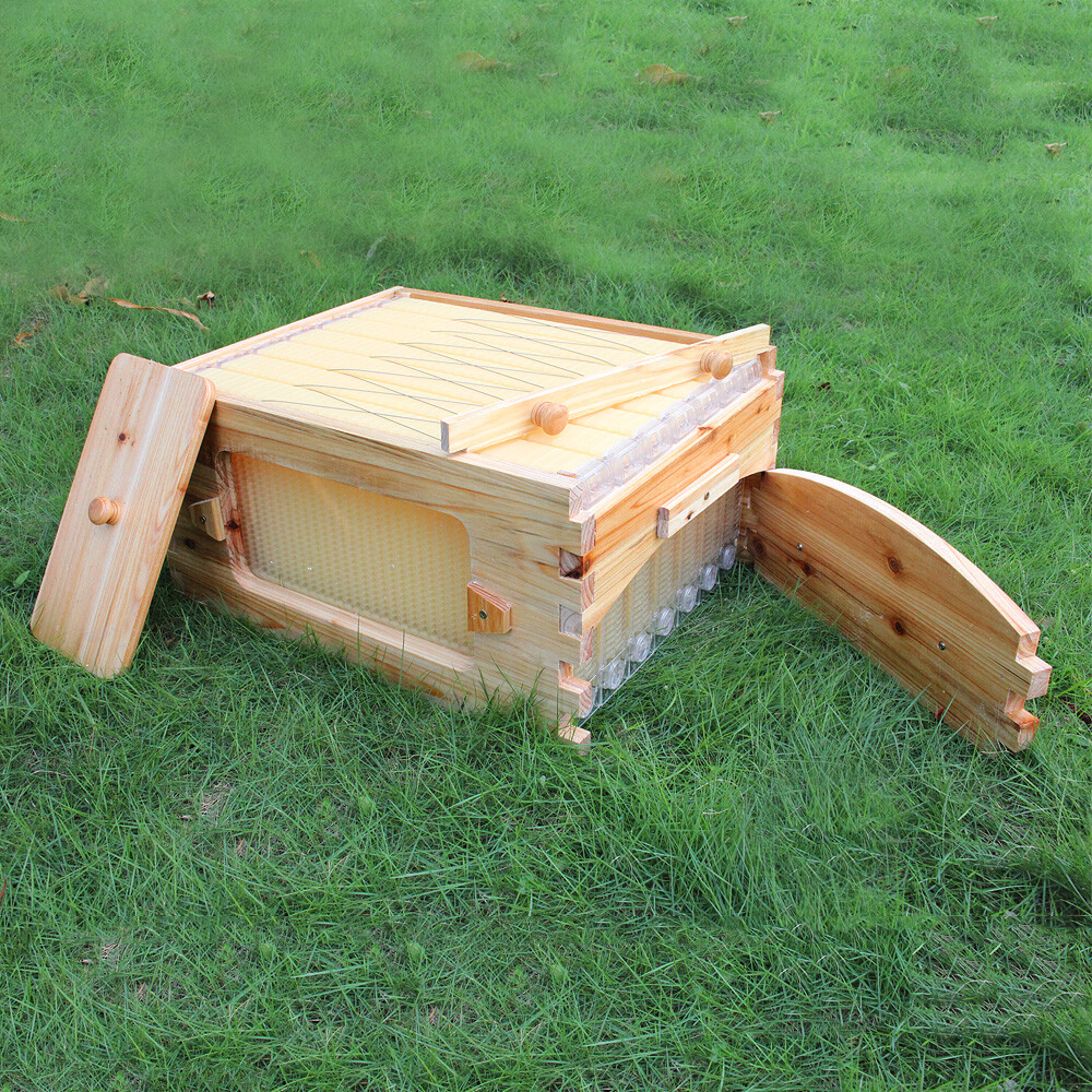 Auto Shed Bee Hive House Waxed Beekeeping Boxes Beehives &7 Plastic Bee Frames