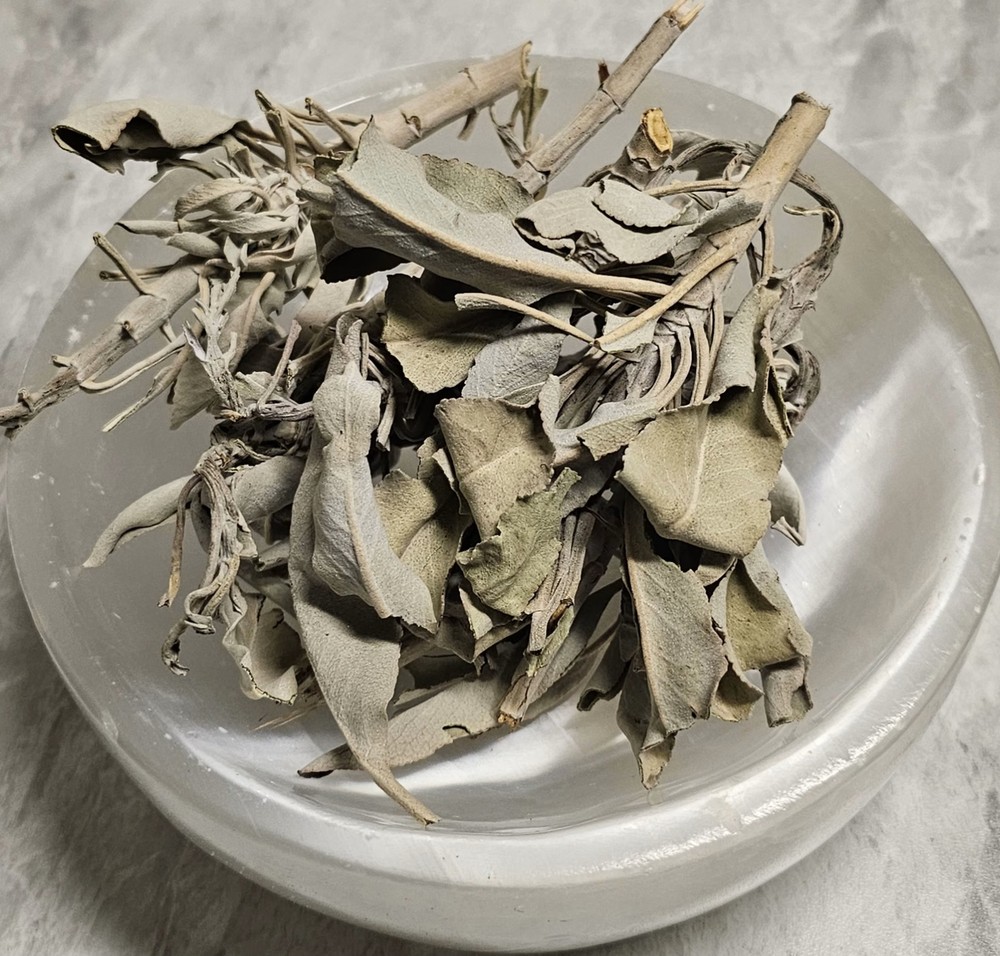 White Sage Herb
