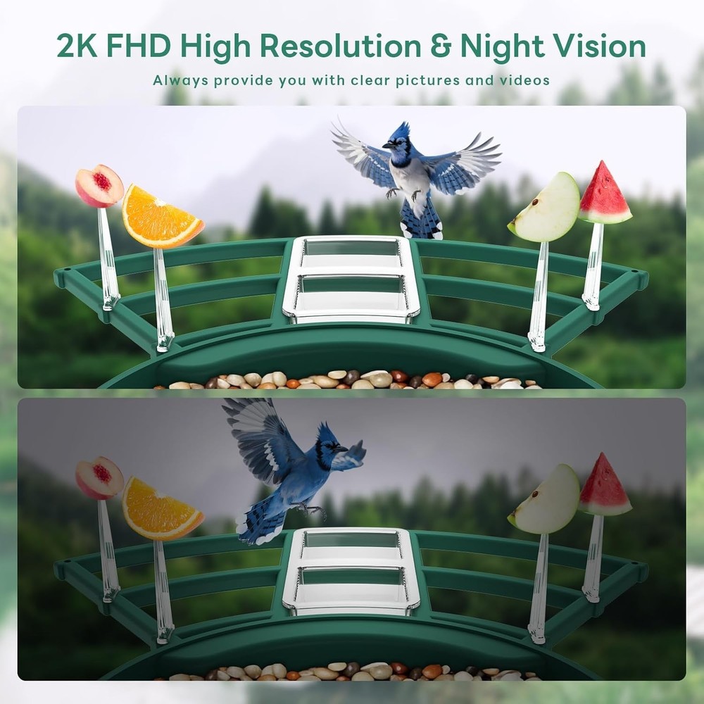 Smart Bird Feeder with 2K Live View Camera & AI Identify with Solar Panel,Night