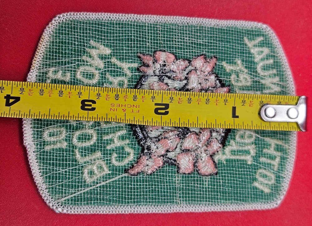 10th Annual Perrier Cherry Blossom 10 Miler Patch Washington DC