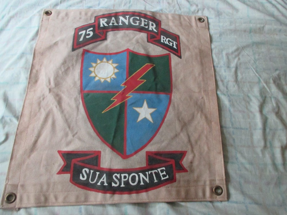 VN /MODERN 75 TH RANGERS RCT WALL BARRACKS  FLAG