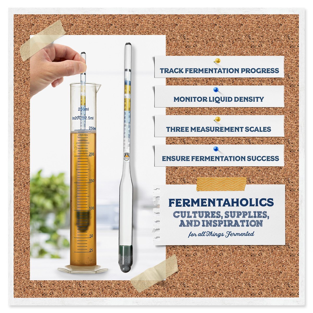 Fermentaholics Hydrometer Kit with Hydrometer, Plastic Test Jar Monitor ABV