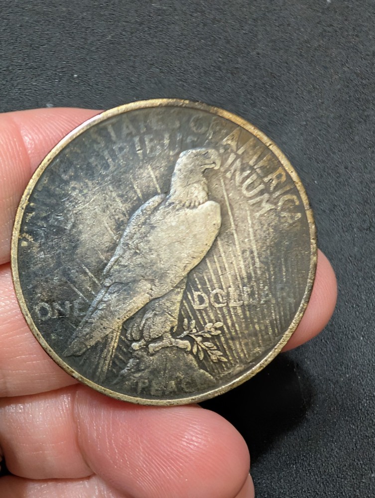1934 D PEACE Silver Dollar Toned Semi Key Date