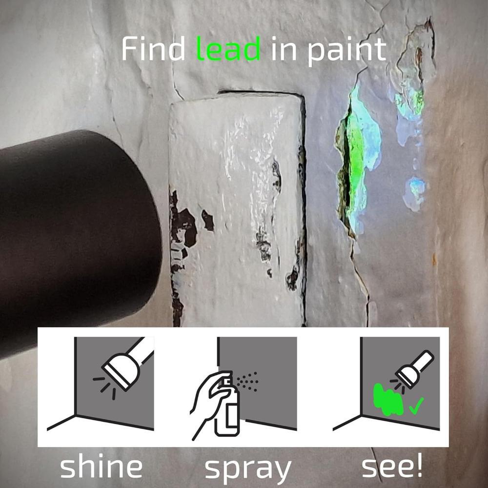 Home Lead Test Kit