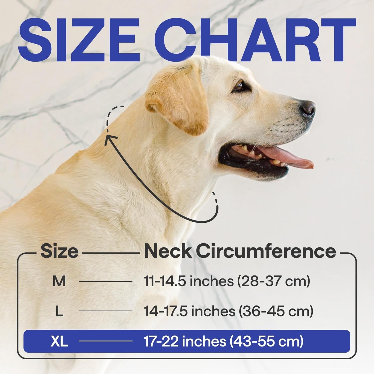 Soft Pet Recovery Inflatable Collar for Dog & Cat After Surgery Protective Cone