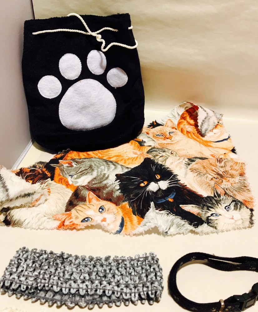 10 Piece Pet Cat Accessories & Bag