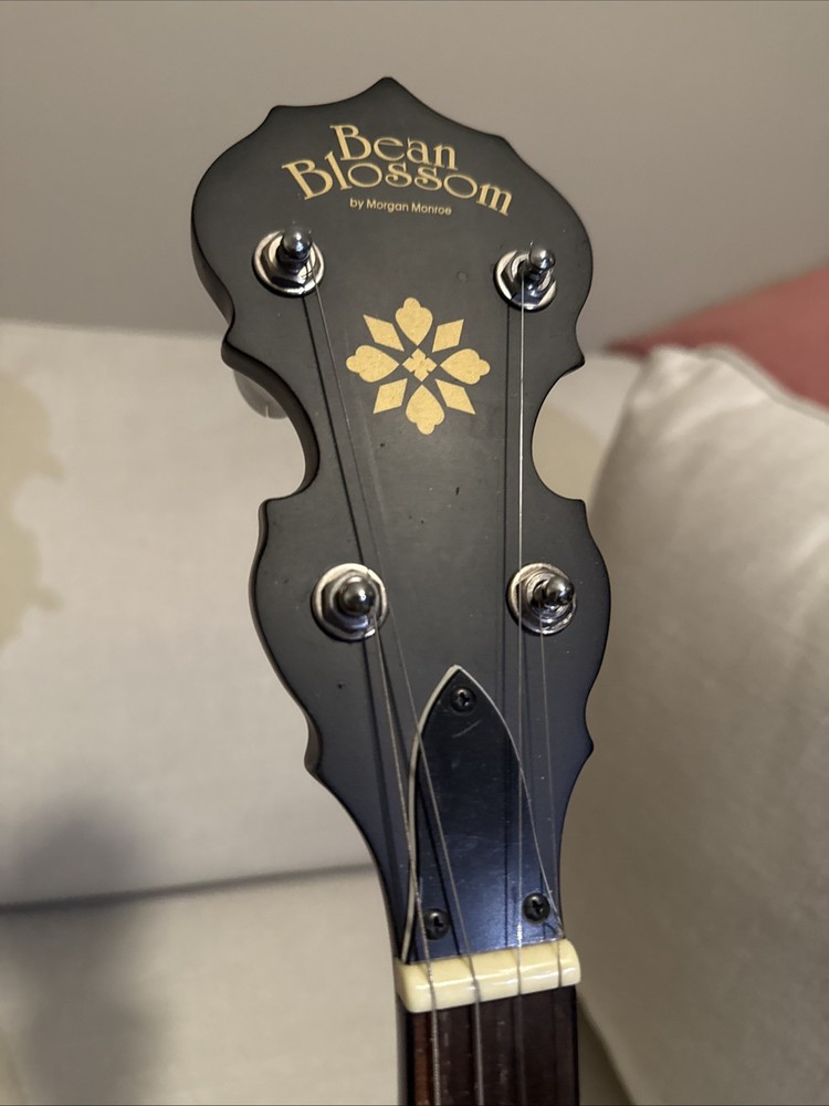 Morgan Monroe, 5-String Banjo, White (RT-B01)