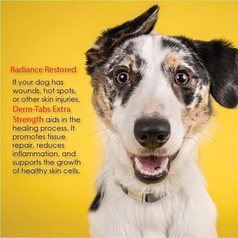 Derm-Tabs Extra Strength for Dogs (60 Chewable Tablets)