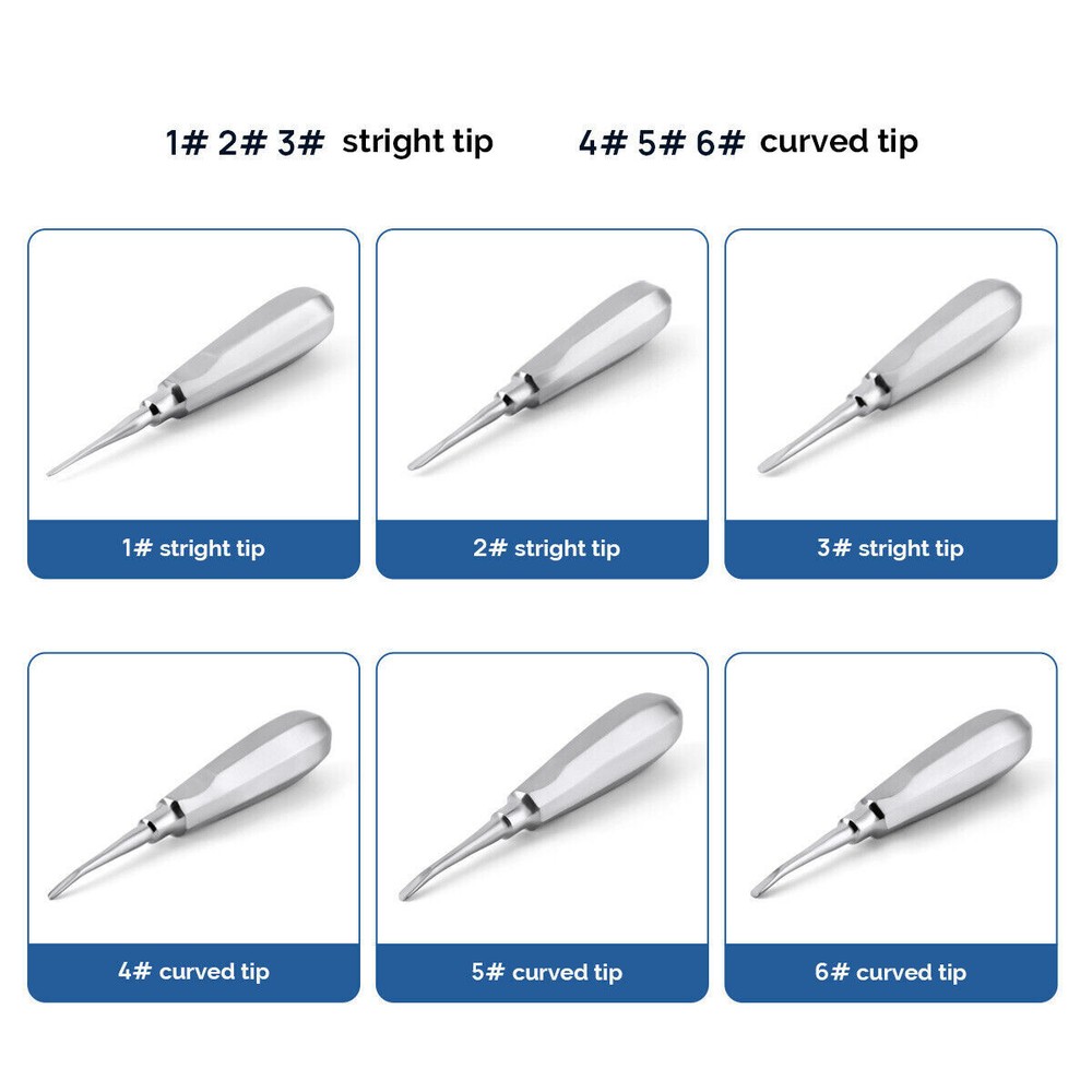 6 Pcs Dental Tooth Extraction Root Elevators #1-6 Set Luxating Luxation Elevator