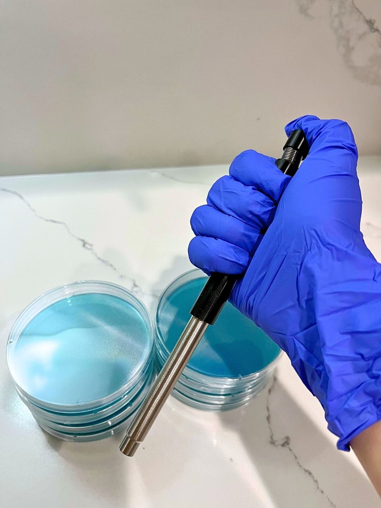 Agar Punch for Transferring Perfect Samples