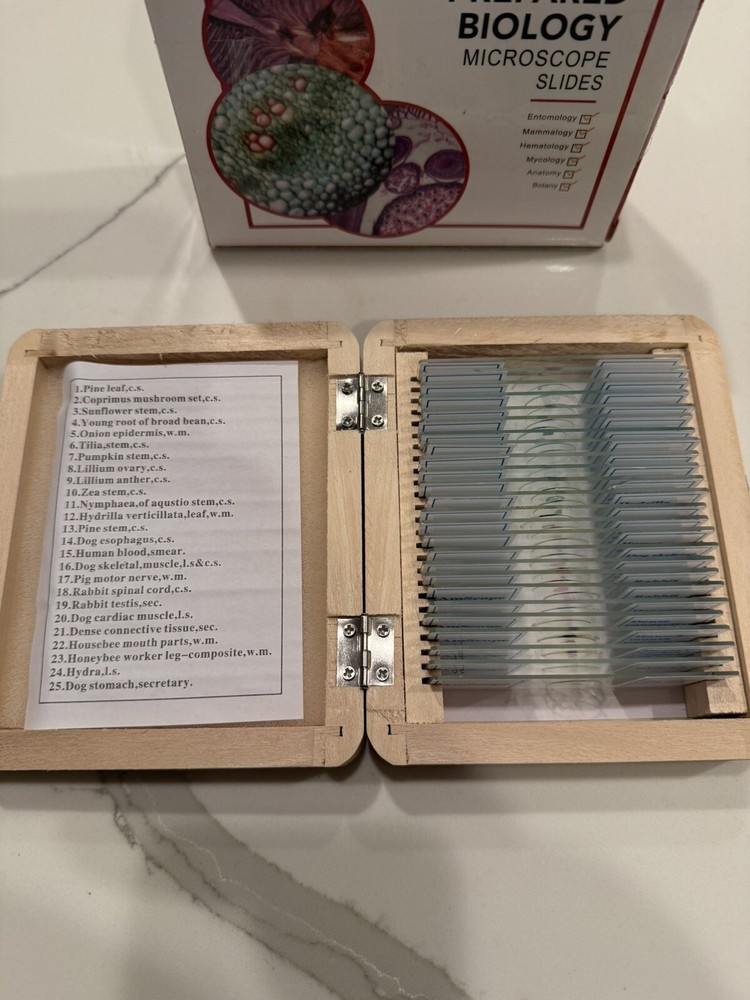 AmScope 25 Prepared Biology Microscope Slides Etymology Hematology NEW Open Box