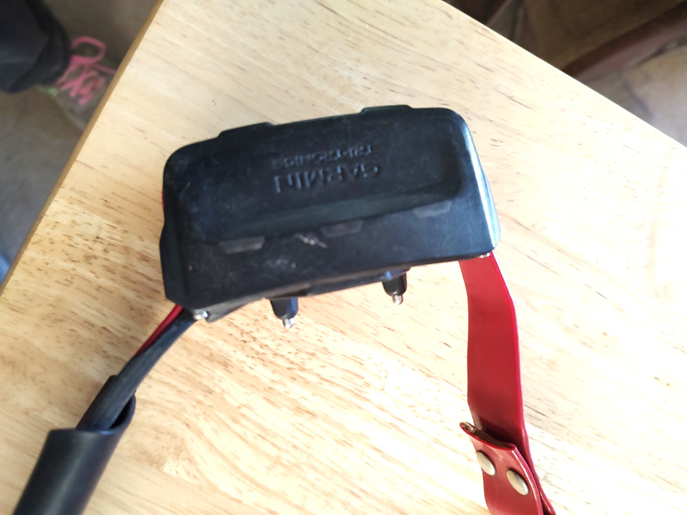 Garmin TT15 Electronic Tracking and Training Dog Collar Red