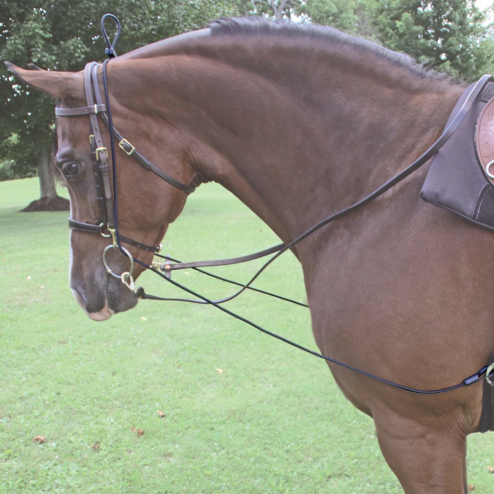 Training Elastic Reins - Elastic Neck Stretcher