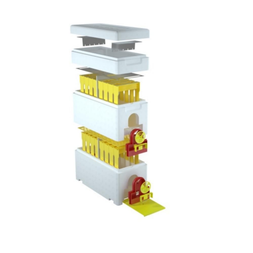 Bee Hives Boxes Plus Double Layer Queen Bee Mating Nuc Box Nuc Box for Bees Quee