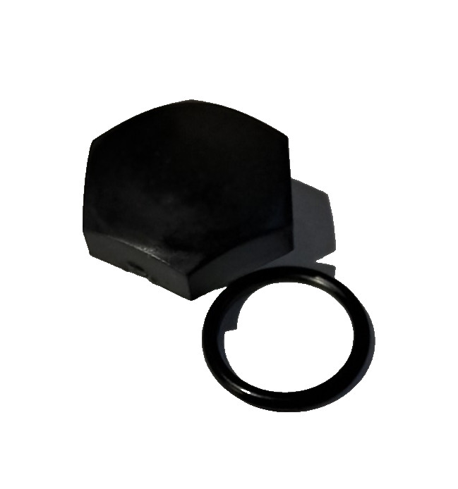 44842 Oil Drain Plug With O-RING CAT PUMPS