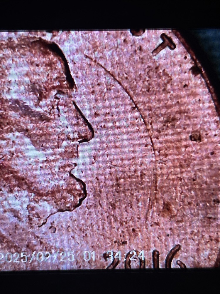 2016 LINCOLN CENT - Struck Through + Grease Errors