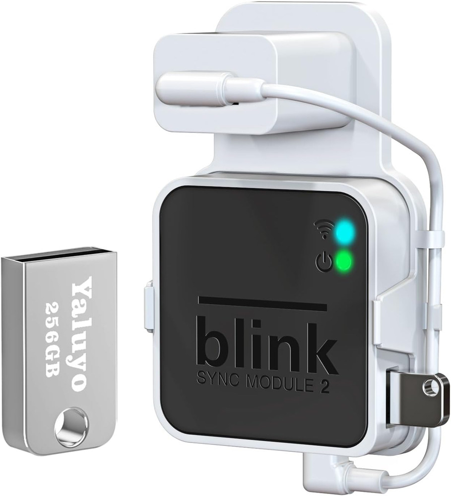 256GB USB Flash Drive& Blink Sync Module 2 Mount, Local Video Storage, Tool-Free