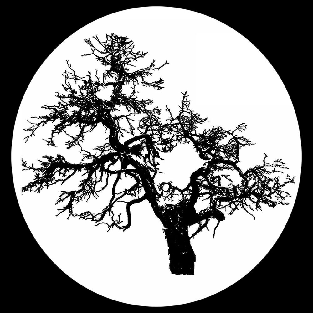 Be Influence Journals- All Lined Black Leather