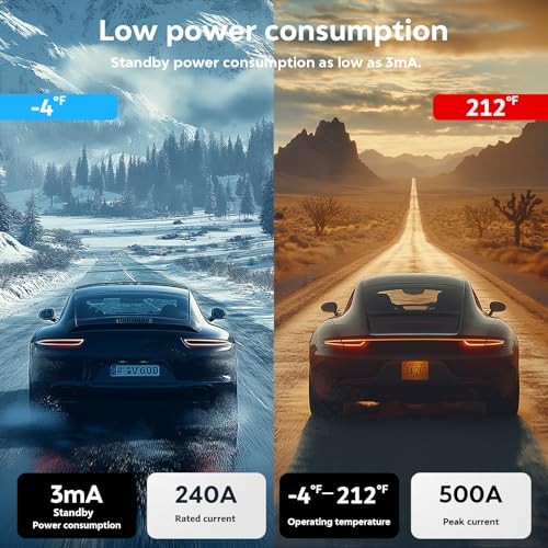 Remote Battery Disconnect Switch-Kill Switch for Car with Voltage black