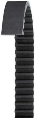 V-Belt  Dayco  255L100
