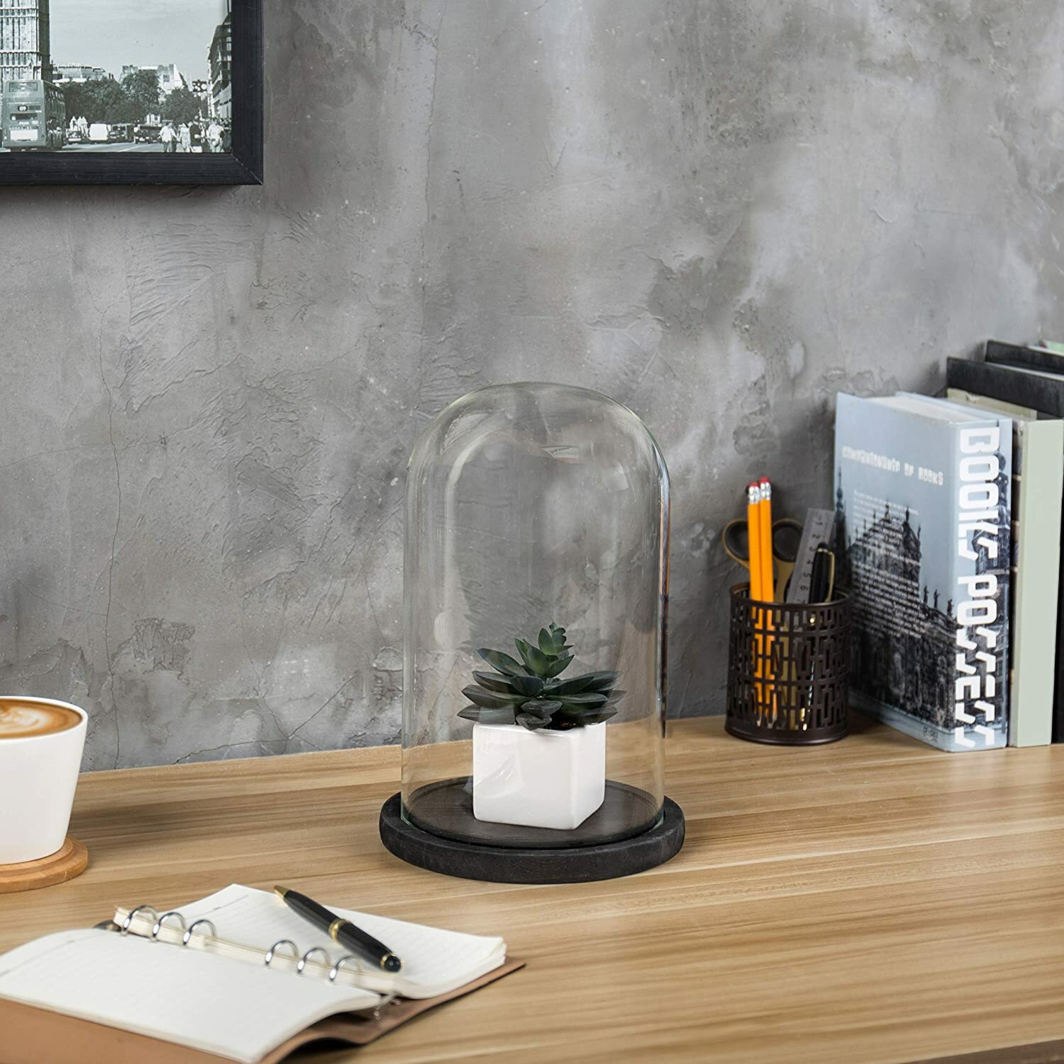 6 x 10 Inches Clear Glass Cloche Bell Jar Display Case w/ Rustic Black Wood Base