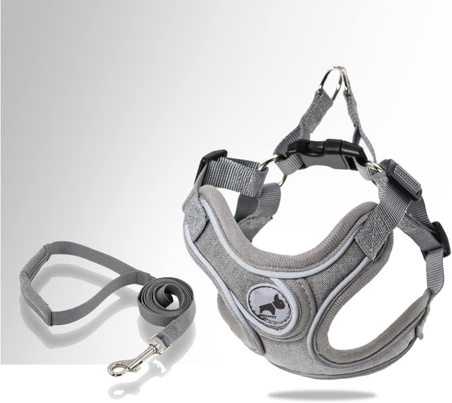 Dog Harness Set, No Pull Adjustable Step-in Collar for Dogs (M, Gray)
