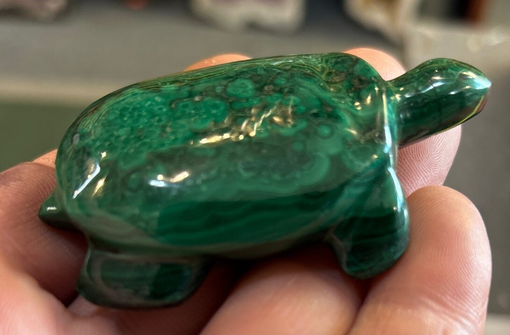 2” Malachite Turtle