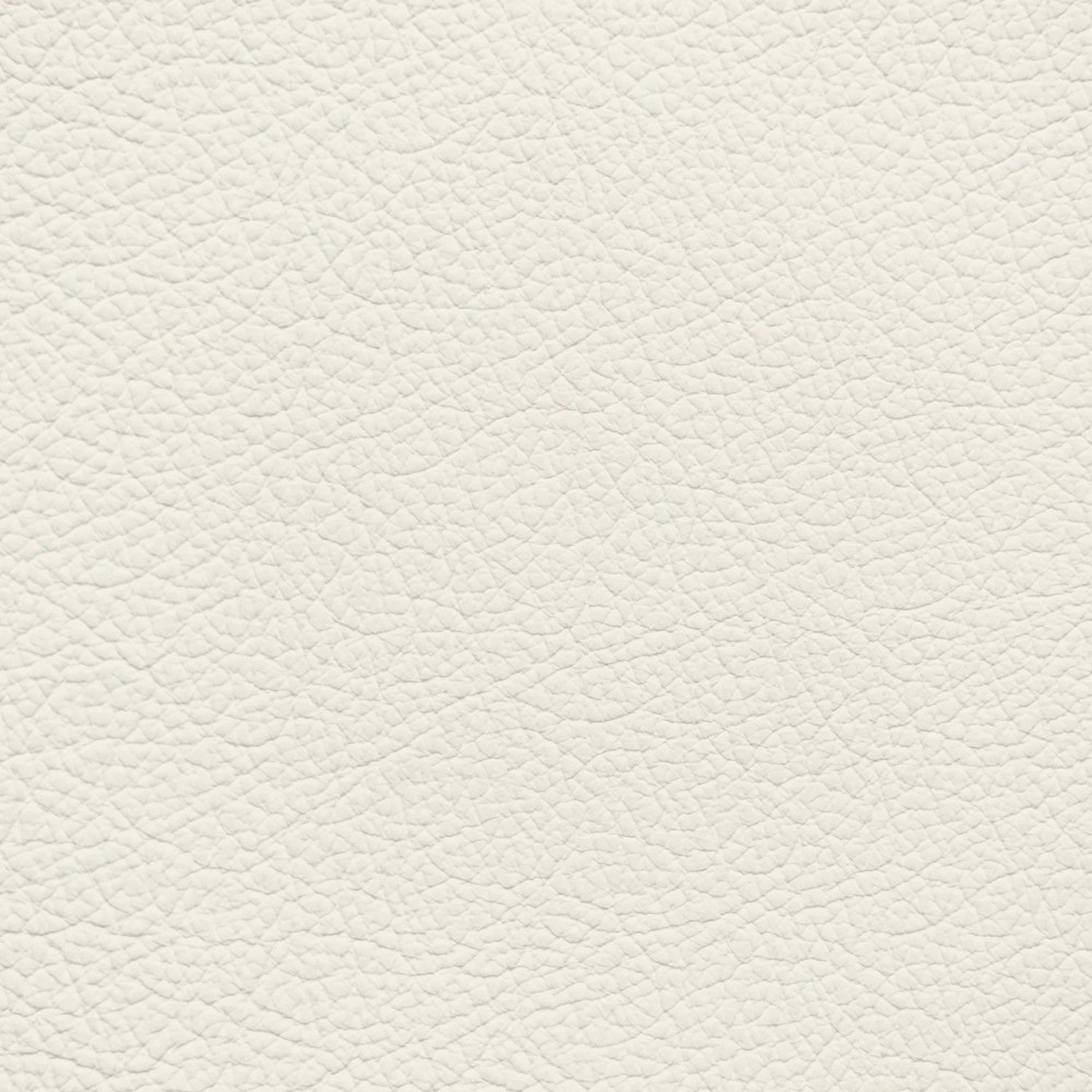 Jaguar Light Oyster Leather Dye