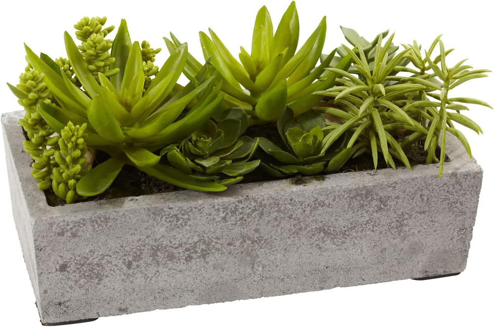 Succulent Garden with Concrete Planter