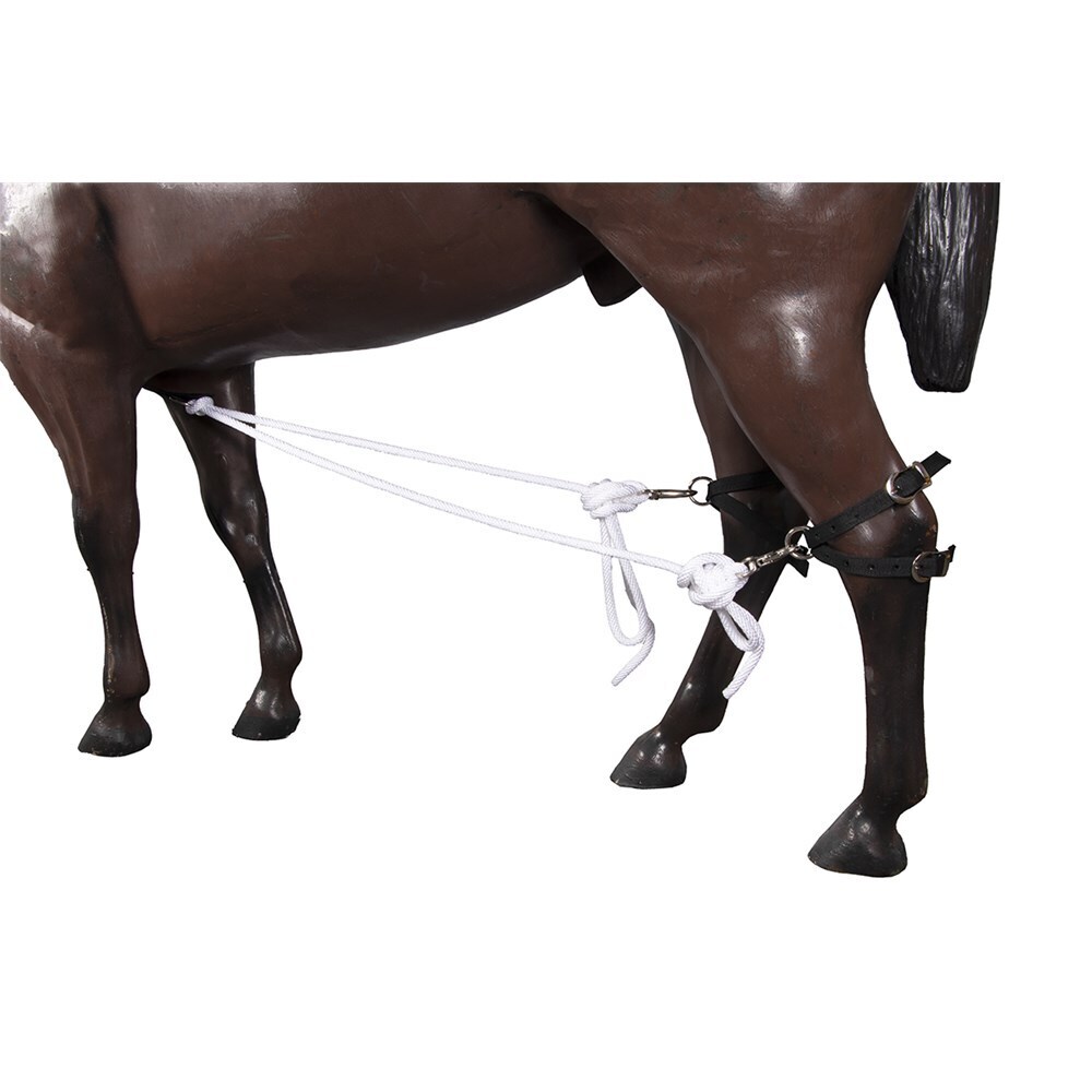 Stc Nylon Horse Breeding Hobbles