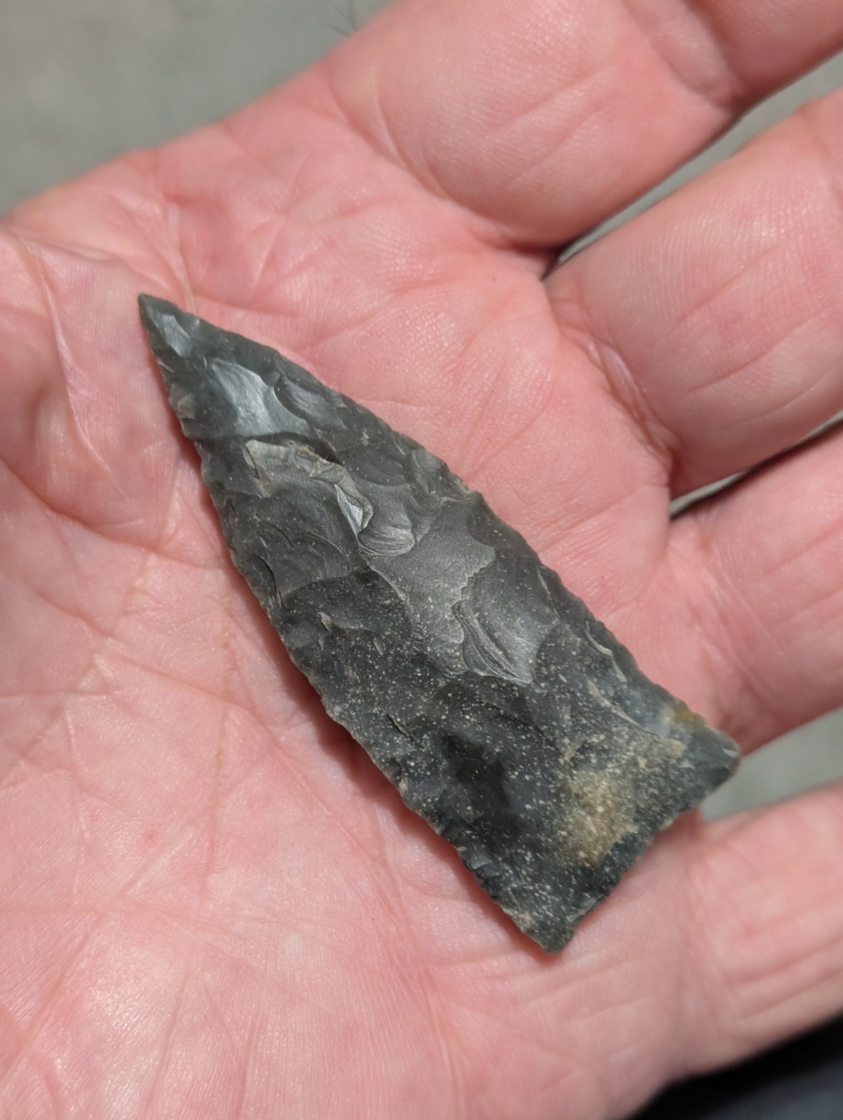 Gorgeous Copena, 2 7/16", N Ctrl Alabama, Bangor Chert, Authentic Arrowhead