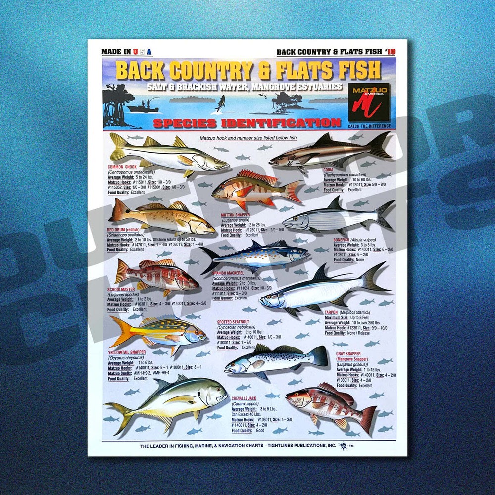 Saltwater Chart Set