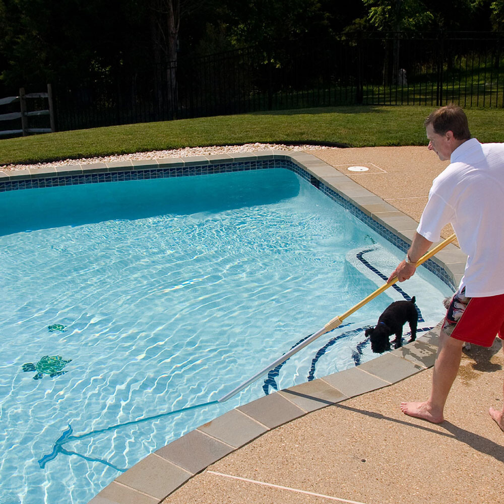 18" Multi-Surface Pool Brush - Cleans Corners, Steps, Walls - Durable & Strong