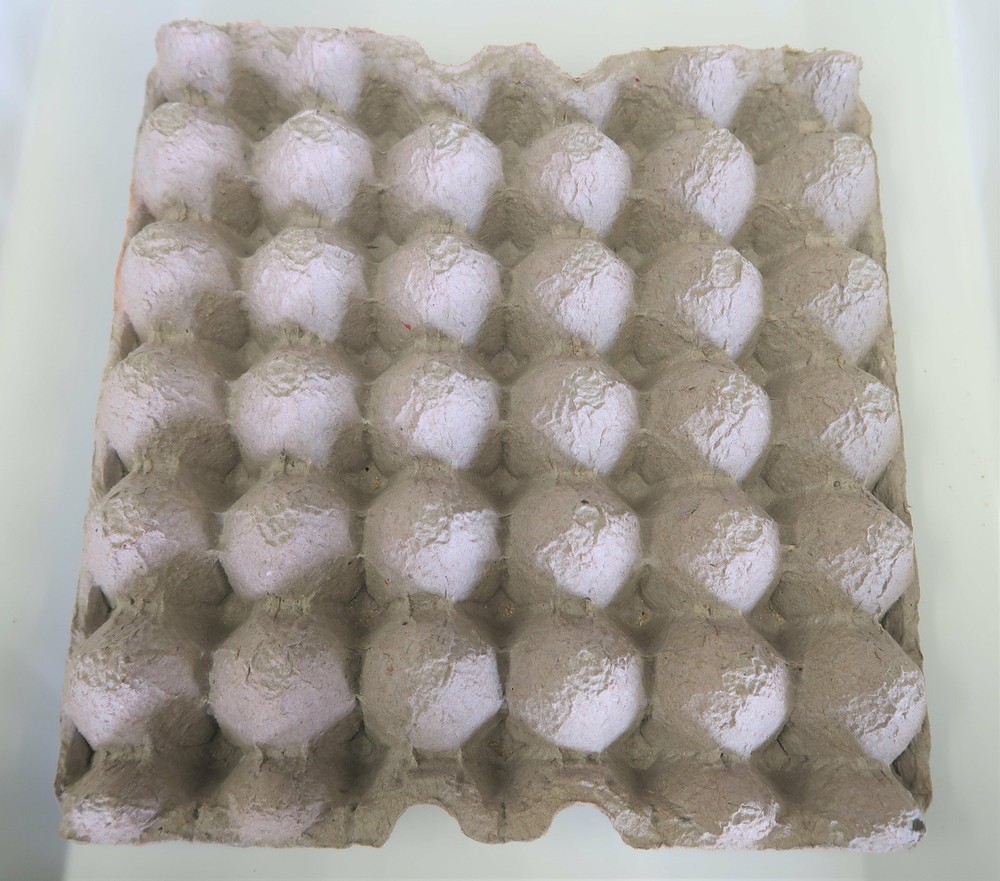 Dubia Roach Breeder Bundle