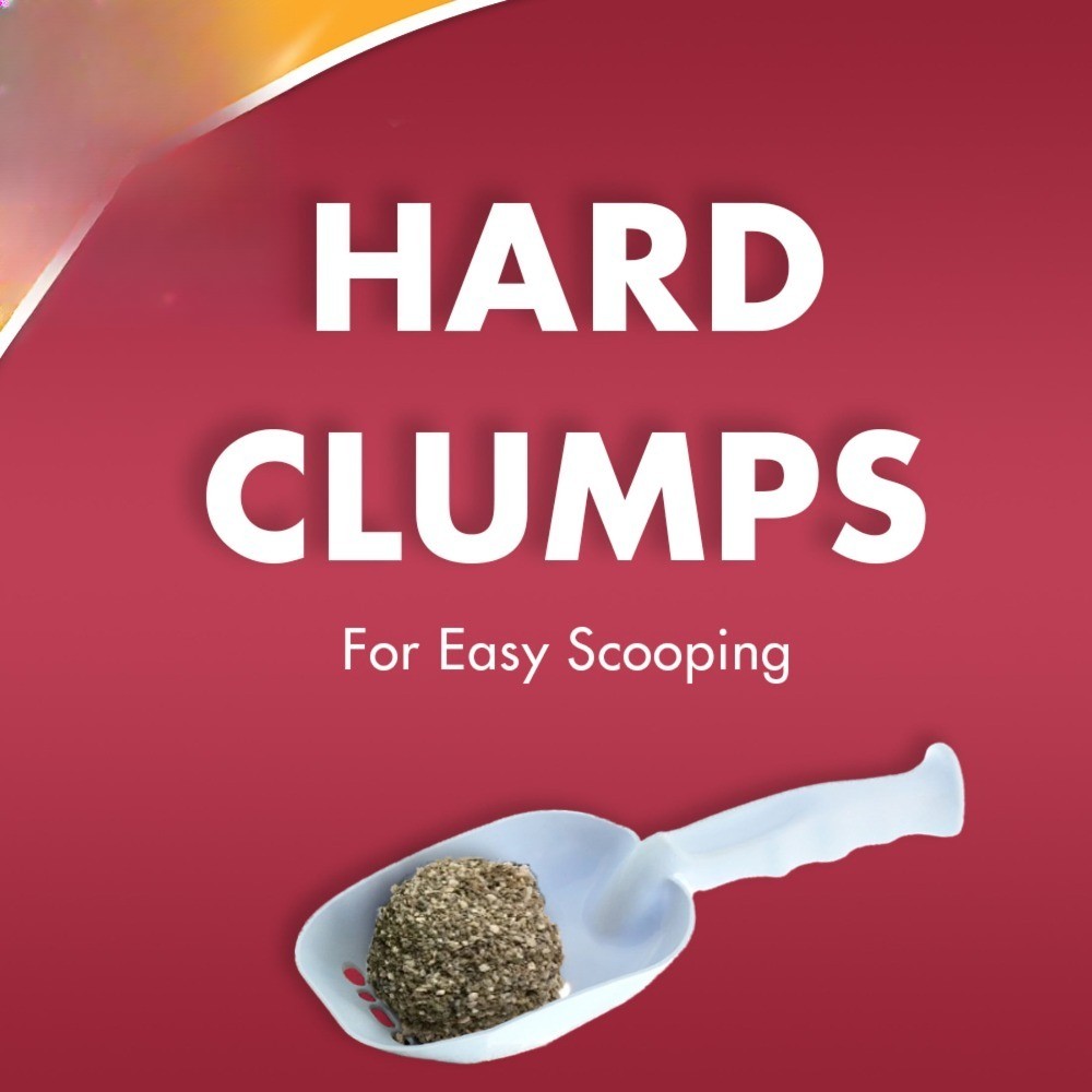 (2 pack) Multi-Cat Clumping Litter Unscented, 20 lb