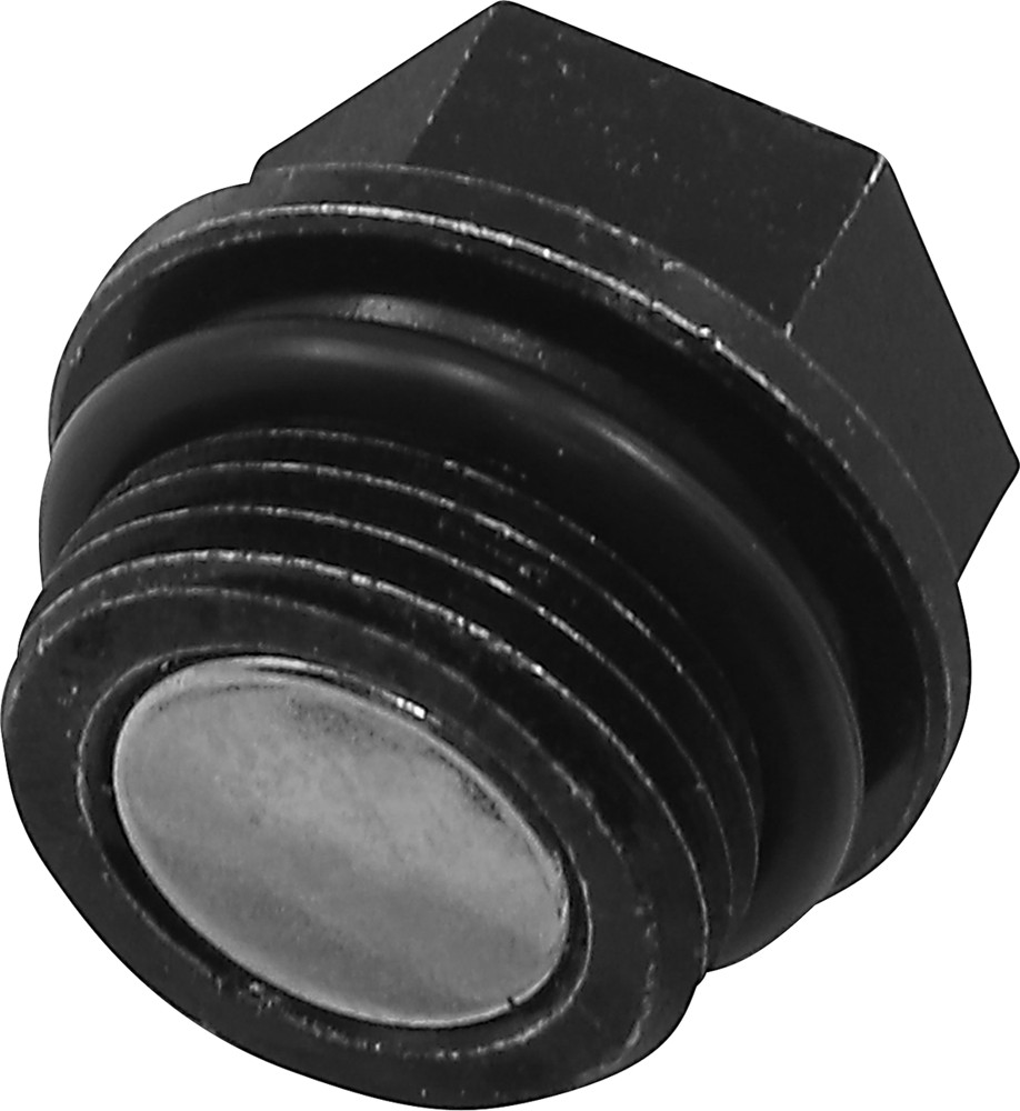QUAD LOGIC Front Differential Drain Plug and O-Ring #100-2387