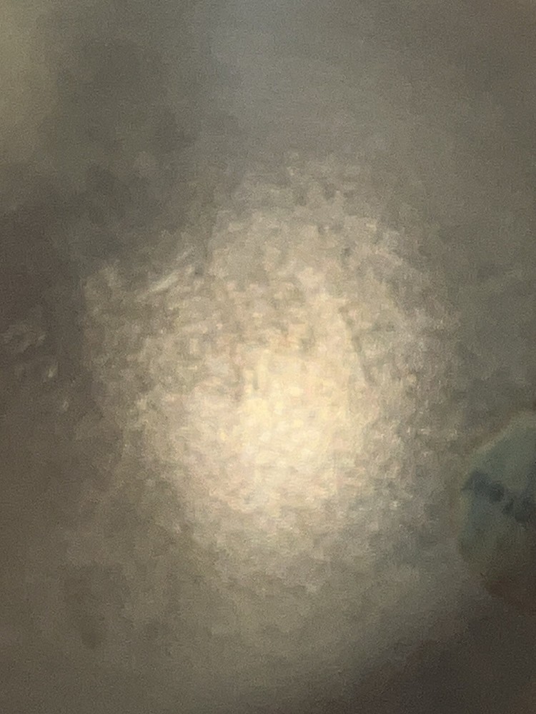 Vintage Silverplate Teapots Coffee Pots Entrees & More