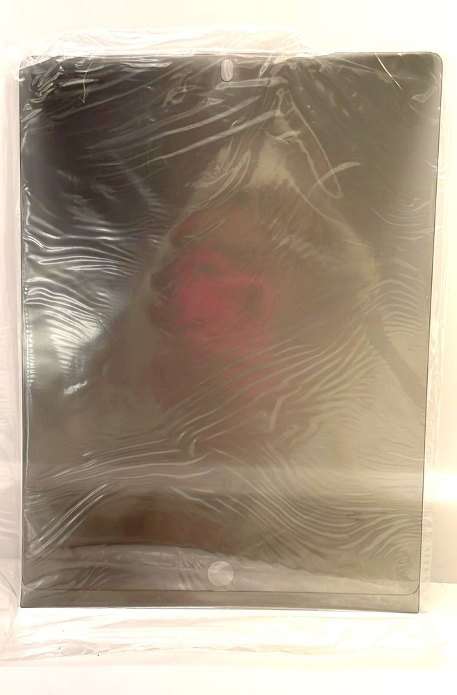 3M Privacy Screen Protector for iPad 2/iPad 3rd gen