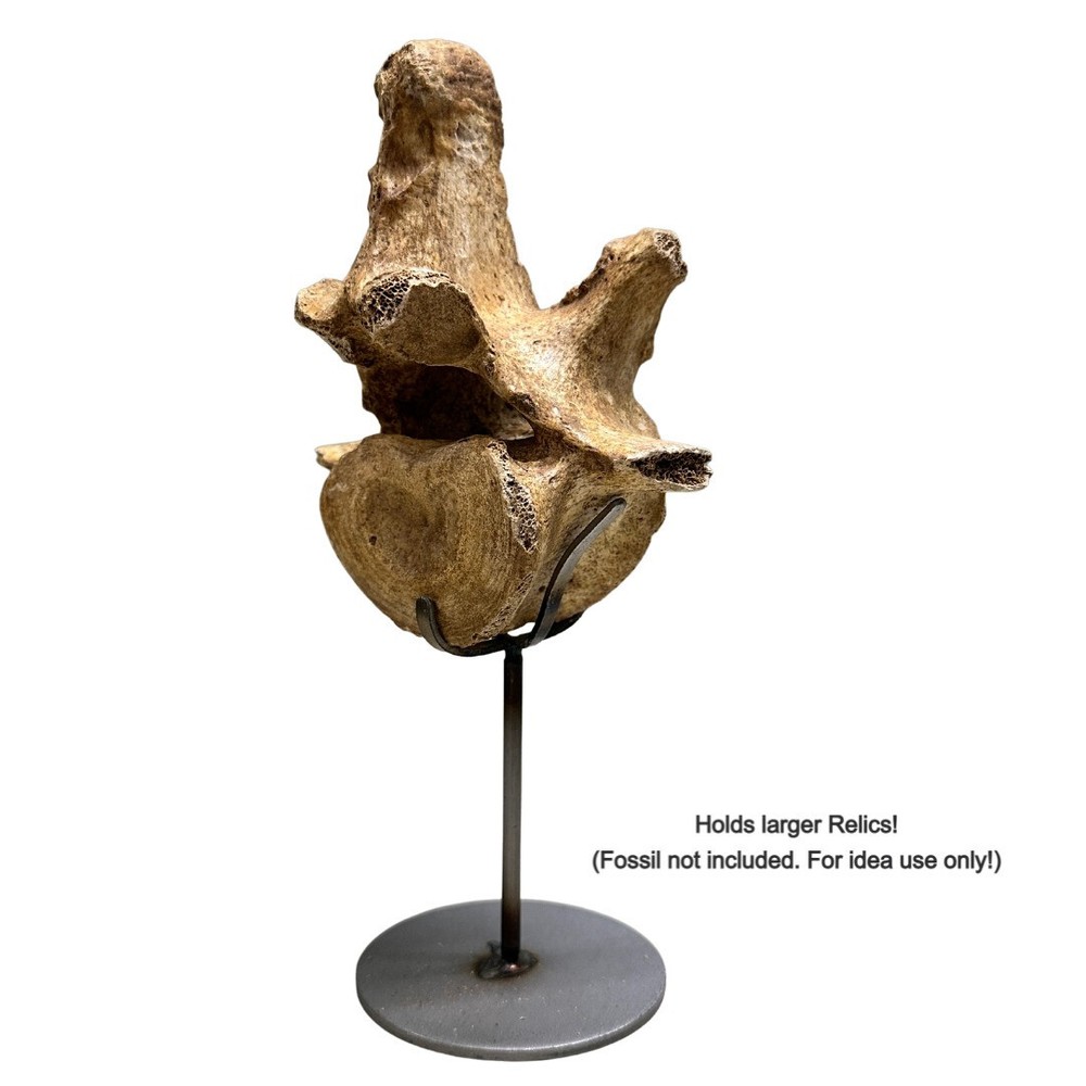 6" Round Base Stand