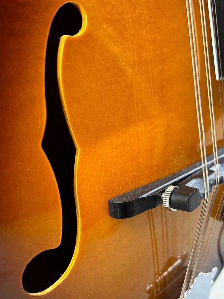 Savannah so-sa090-tsn Mandolin 8 string with Pickup (read)