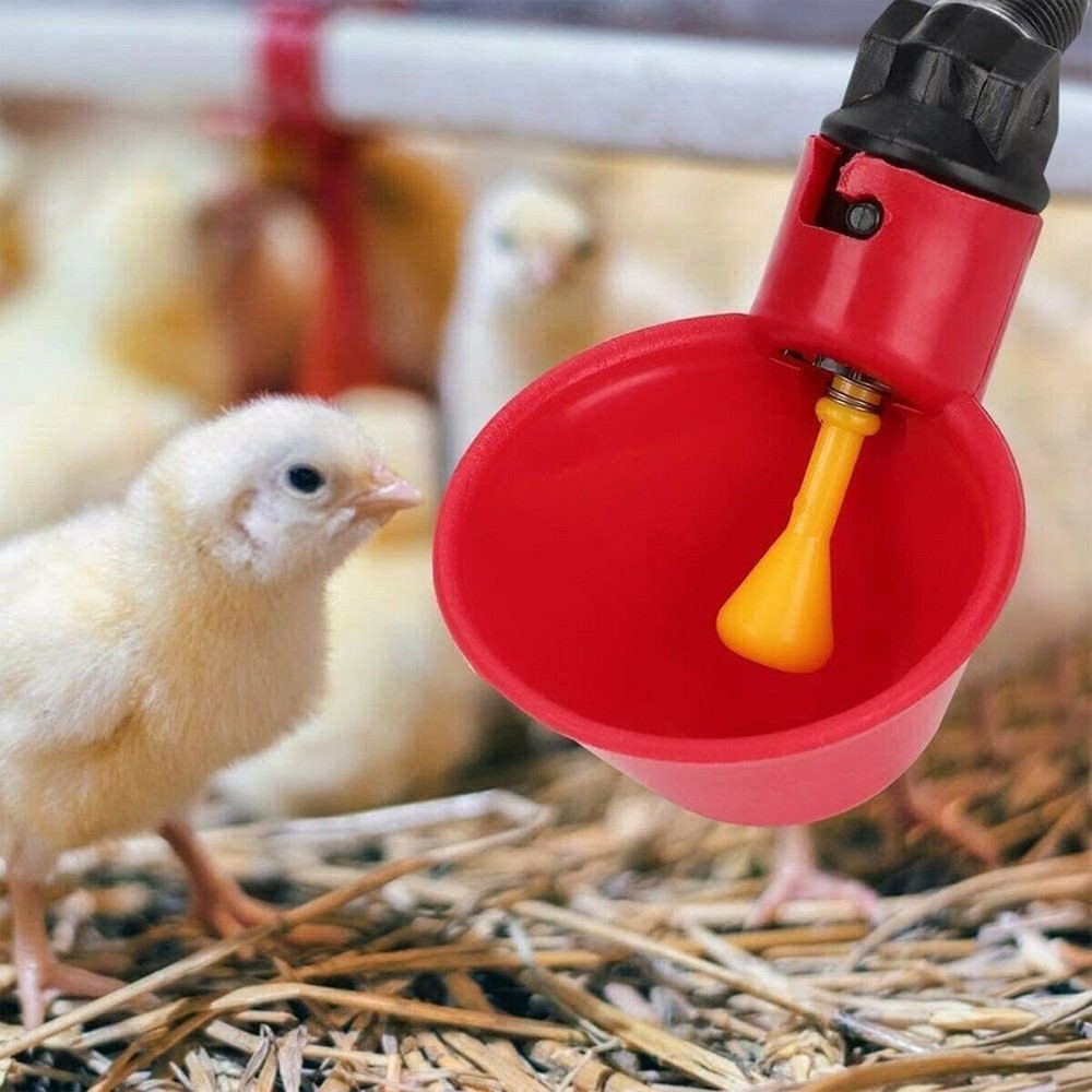 1-50Pcs Poultry Water Drinking Cups Chicken Hen Plastic Automatic Drinker Feeder