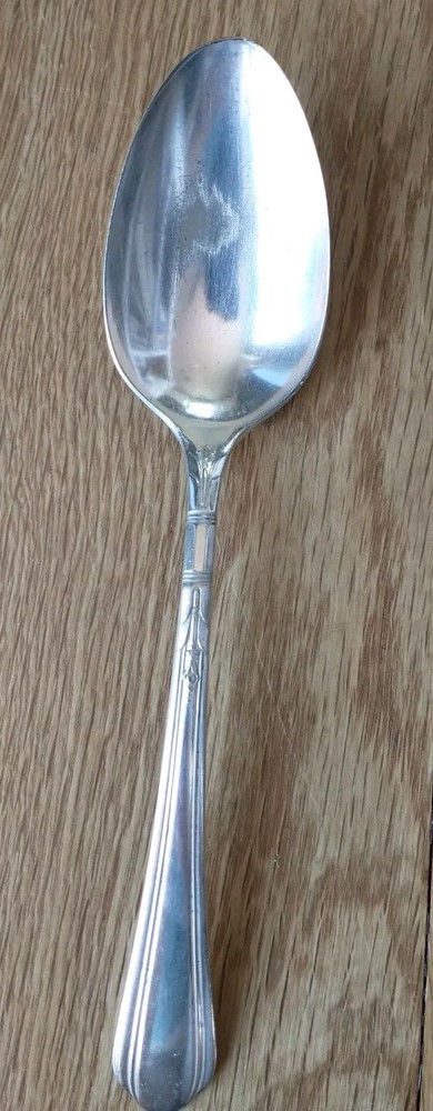 Oneida JUNE NURSEY Tudor Plate Community SERVING SPOON