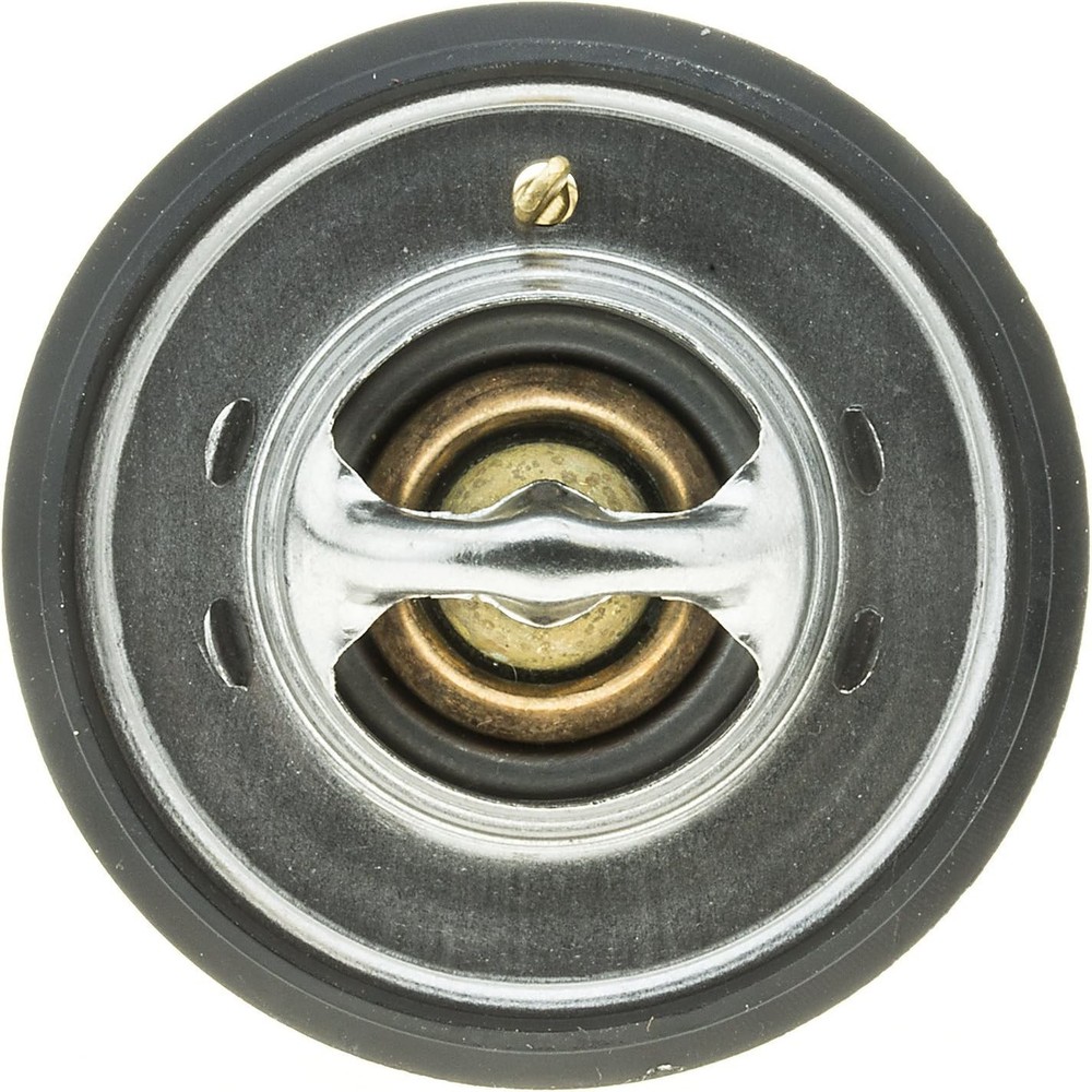 265-160 Thermostat with Seal, silver