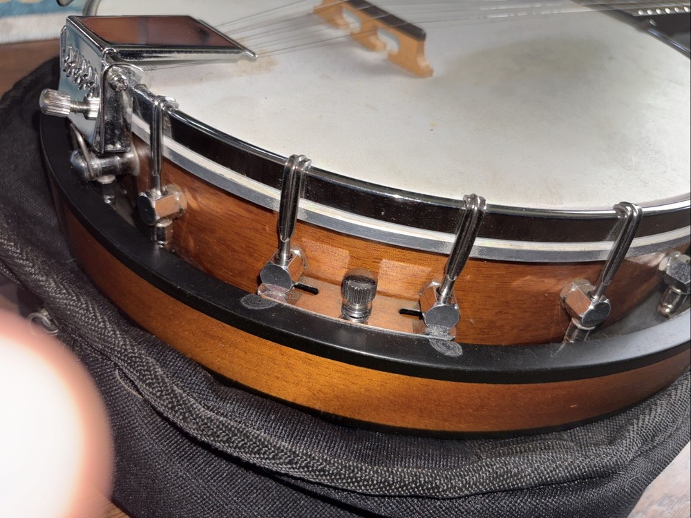 Fender 5 String Banjo & Bag Used