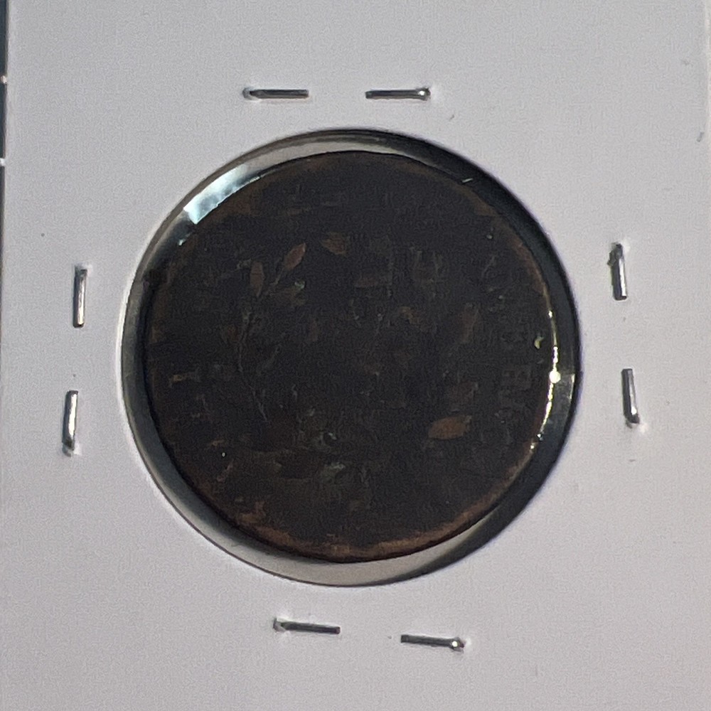 1802 Draped Bust Large Cent