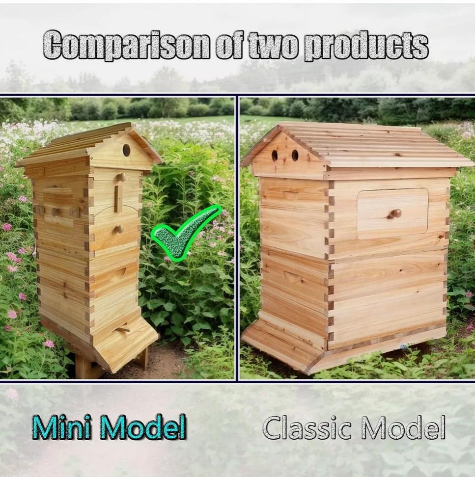 MINi Auto Bee Hives Honey House Bee Hive Boxes +10x Bee Beekeeping Frames US