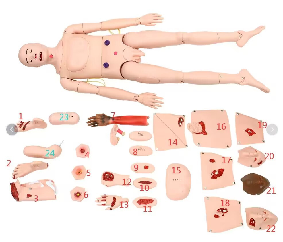 Patient Care Burn Teaching Model 24 Wound Modules Care NursingTraining Model